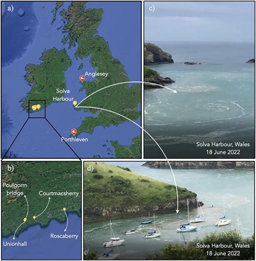 Meteotsunami events observed across Western Europe in Summer 2022